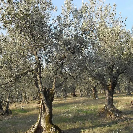 Bliss With Pool, Wine And Tails Дом отдыха